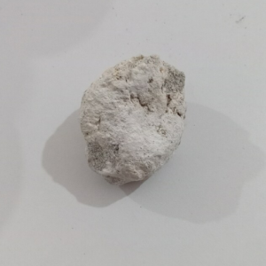 White ambergris for sale